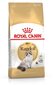 Royal Canin Ragdoll tõu kassidele, 10 kg цена и информация | Kuivtoit kassidele | kaup24.ee