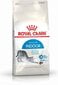 Kuivtoit kodukassidele Royal Canin Indoor 27, 0,4 kg цена и информация | Kuivtoit kassidele | kaup24.ee