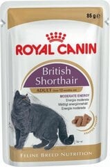 Royal Canin Briti lühikarvalistele, 85 g x 12 tk цена и информация | Кошачьи консервы | kaup24.ee