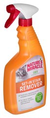 Toode kassi uriini lõhna ja plekkide eemaldamiseks Nature's Miracle Set-In Oxy Stain&Odour, 709 ml цена и информация | Средства по уходу за животными | kaup24.ee