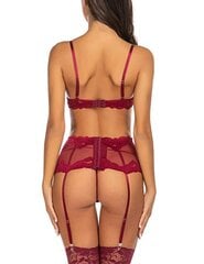 Сексуальный комплект прозрачного нижнего белья Red Passion цена и информация | Сексуальное женское белье | kaup24.ee