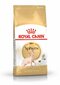 Royal Canin Sfinks tõugu kassidele Adult, 2 kg цена и информация | Kuivtoit kassidele | kaup24.ee