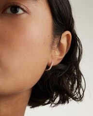 Kõrvarõngad naistele hind ja info | Kõrvarõngad | kaup24.ee