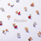 Hõbekõrvarõngad Rosato RZO021R hind ja info | Kõrvarõngad | kaup24.ee