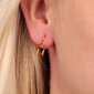 Messing Kullatud kõrvarõngad naistele La Petite Story LPS02ARQ147 цена и информация | Kõrvarõngad | kaup24.ee