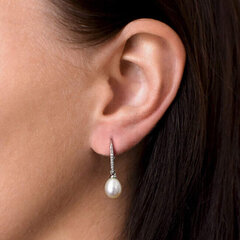Hõbedase kristalliga kõrvarõngad Evolution Group 21060.1 hind ja info | Kõrvarõngad | kaup24.ee