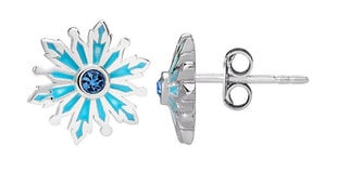 Подходит к серьгам-гвоздикам для девочек Frozen E905570SRJL цена и информация | Серьги | kaup24.ee