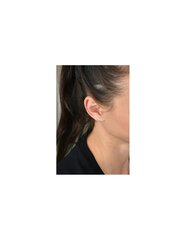 Kõrvarõngad naistele Dkny SDK0525 hind ja info | Kõrvarõngad | kaup24.ee