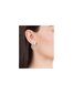Terasest kõrvarõngad naistele tsirkooniumiga Viceroy Chic 75279E01000 sVR0256 цена и информация | Kõrvarõngad | kaup24.ee