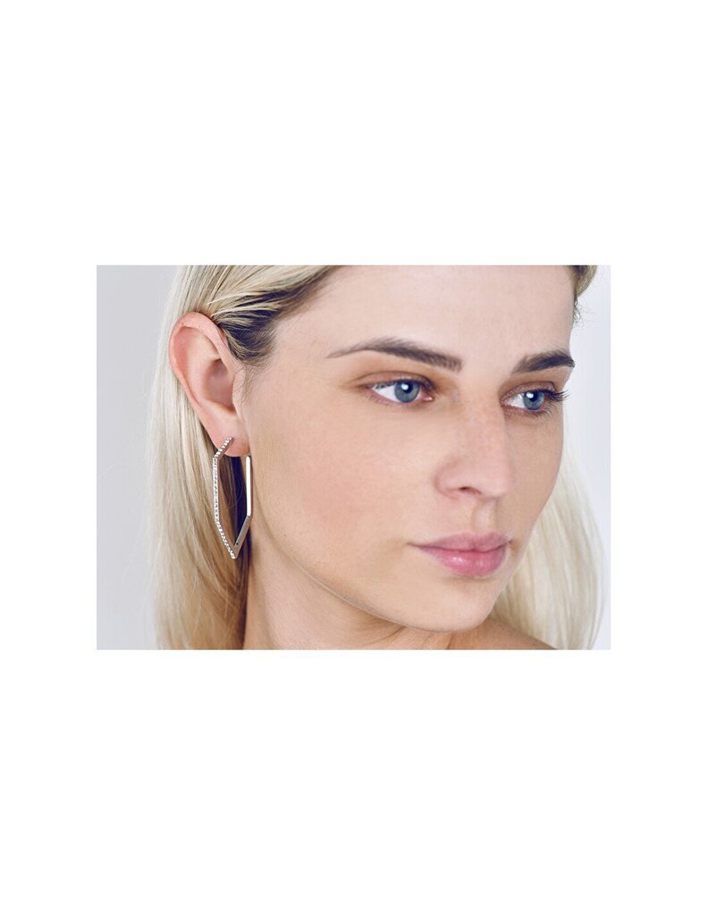 Kõrvarõngad naistele Karl Lagerfeld 5512278 SKL0057 hind ja info | Kõrvarõngad | kaup24.ee