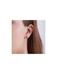 Kõrvarõngad naistele Michael Kors MKC1247AN040 sMK0455 hind ja info | Kõrvarõngad | kaup24.ee