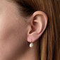 Kõrvarõngad naistele Evolution Group 91P00020 SEG0633 цена и информация | Kõrvarõngad | kaup24.ee