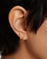 Kullatud Kõrvarõngad naistele PDPaola AR01600U SPD0523 цена и информация | Kõrvarõngad | kaup24.ee