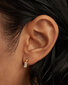Kullatud kõrvarõngas PDPaola PG01723U SPD0548 hind ja info | Kõrvarõngad | kaup24.ee