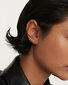 Hõbedast kõrvarõngas naistele PDPaola PG02750U SPD0580 hind ja info | Kõrvarõngad | kaup24.ee