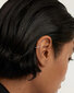 Hõbedased kõrvarõngad PDPaola PG02789U SPD0585 цена и информация | Kõrvarõngad | kaup24.ee