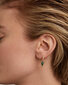 Kõrvarõngad naistele PDPaola PG01-696-U, kuldne цена и информация | Kõrvarõngad | kaup24.ee
