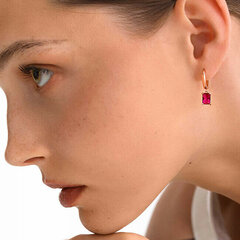 Hõbedased kõrvarõngad ripatsiga naistele Rosato Allegra RZAL016 sRO1312 hind ja info | Kõrvarõngad | kaup24.ee