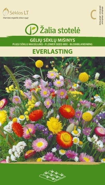 Lillede segu Everlasting hind ja info | Lilleseemned | kaup24.ee