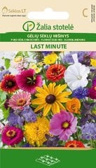 Смесь цветов Last Minute цена и информация | Семена цветов | kaup24.ee