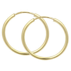 Kuldsed kõrvarõngad naistele Brilio 231001 00278 sBR0242-13 hind ja info | Kõrvarõngad | kaup24.ee