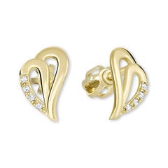 Kuldsed kõrvarõngad naistele Brilio 239 001 00738 sBR0305 hind ja info | Kõrvarõngad | kaup24.ee