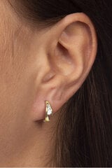 Kuldsed kõrvarõngad tsirkoonidega naistele Brilio 239 001 00800 sBR1219 hind ja info | Kõrvarõngad | kaup24.ee