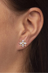 Kõrvarõngad naistele kristallidega Brilio 239 001 00920 sBR1247 hind ja info | Kõrvarõngad | kaup24.ee