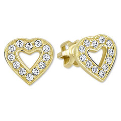 Kuldsed kõrvarõngad kristallidega naistele Brilio 239 001 00207 sBR1295 hind ja info | Kõrvarõngad | kaup24.ee