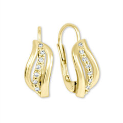 Kuldsed kõrvarõngad kristallidega naistele Brilio 239 001 00688 sBR1308 цена и информация | Серьги | kaup24.ee