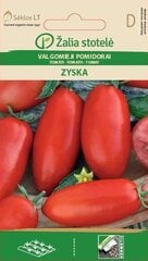 Съедобные помидоры Zyska цена и информация | Семена овощей, ягод | kaup24.ee