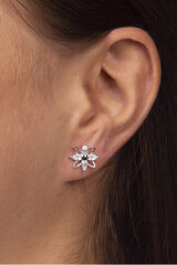 Kõrvarõngad naistele kristallidega Brilio 239 001 00920 07 sBR1342 hind ja info | Kõrvarõngad | kaup24.ee