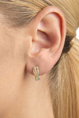 Kuldsed kõrvarõngad kristallidega naistele Brilio 239 001 00978 sBR1558 цена и информация | Серьги | kaup24.ee
