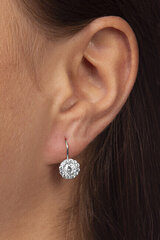 Kuldsed kõrvarõngad selgete kristallidega naistele Brilio 239 001 00979 07 sBR1566 hind ja info | Kõrvarõngad | kaup24.ee