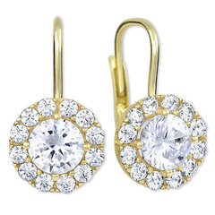Kuldsed kõrvarõngad selgete kristallidega naistele Brilio 239 001 00979 sBR1565 hind ja info | Kõrvarõngad | kaup24.ee