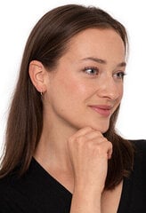 Kuldsed kõrvarõngad naistele Brilio sBR1652 hind ja info | Kõrvarõngad | kaup24.ee