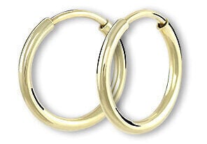 Brilio Золотые серьги-кольца 231 001 00487 sBR1652 цена и информация | Серьги | kaup24.ee