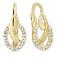 Kuldsed kõrvarõngad kristallidega Brilio sBR1840 hind ja info | Kõrvarõngad | kaup24.ee
