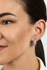 Kullatud kõrvarõngad tsirkooniumiga naistele Brilio Silver EA479Y sBS2051 hind ja info | Kõrvarõngad | kaup24.ee
