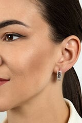 Kullatud kõrvarõngad tsirkooniumiga naistele Brilio Silver EA482Y sBS2068 hind ja info | Kõrvarõngad | kaup24.ee