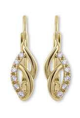 Kuldsed kõrvarõngad kristallidega naistele Brilio sBR1966 hind ja info | Kõrvarõngad | kaup24.ee