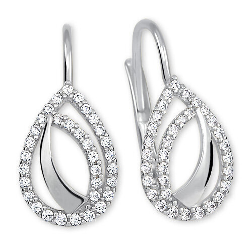 Kõrvarõngad kristallidega naistele Brilio sBR1546 hind ja info | Kõrvarõngad | kaup24.ee