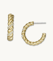 Fossil Элегантные позолоченные серьги-кольца с кристаллами Vintage Twist JF04170710 sFO1962 цена и информация | Серьги | kaup24.ee