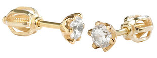 Kuldsed kõrvarõngad kristallidega naistele Brilio 236 001 00765 sBR0639 hind ja info | Kõrvarõngad | kaup24.ee