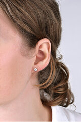 Kuldsed kõrvarõngad kristallidega naistele Brilio 236 001 00765 sBR0639 hind ja info | Kõrvarõngad | kaup24.ee