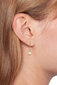 Kõrvarõngad naistele Tommy Hilfiger 2780768 sTH1324 цена и информация | Kõrvarõngad | kaup24.ee