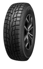 Dynamo Snow-H MWS01 225/55R19 99 H цена и информация | Зимняя резина | kaup24.ee