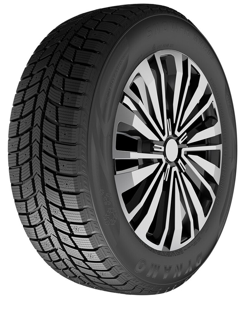 Dynamo Snow-H MWH03 225/45R18 95 T цена и информация | Talverehvid | kaup24.ee