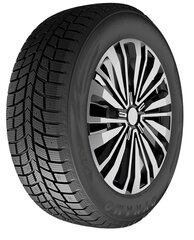 Dynamo Snow-H MWH03 215/65R17 99 T hind ja info | Talverehvid | kaup24.ee