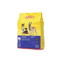 Josera Premium JosiDog Active сухой корм для активных собак с птицей, 900 г цена и информация | Сухой корм для собак | kaup24.ee